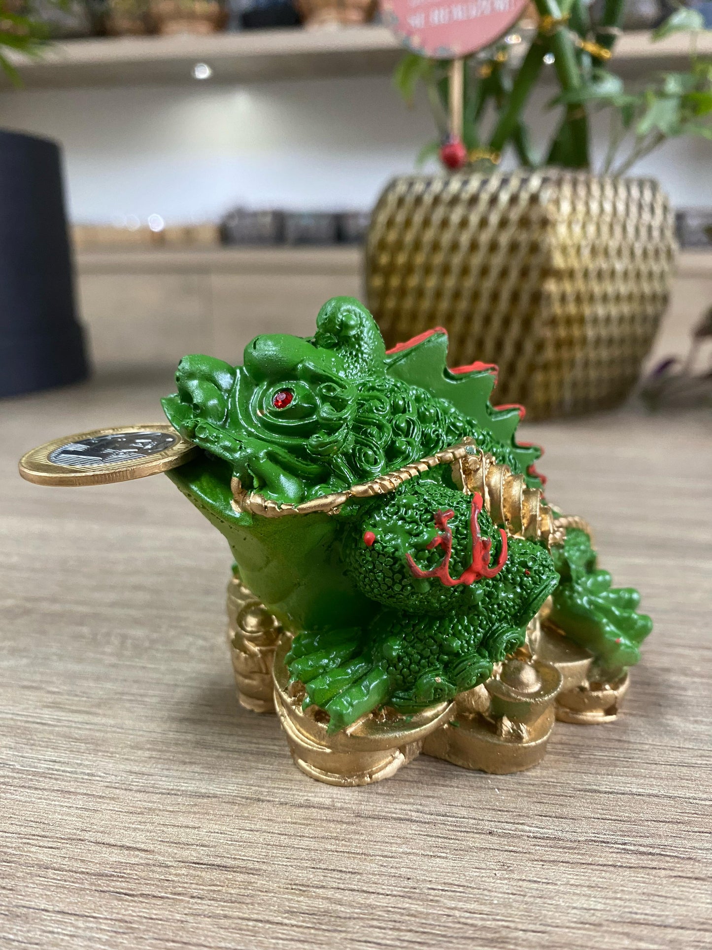 Sapo Kaeru da Prosperidade - M