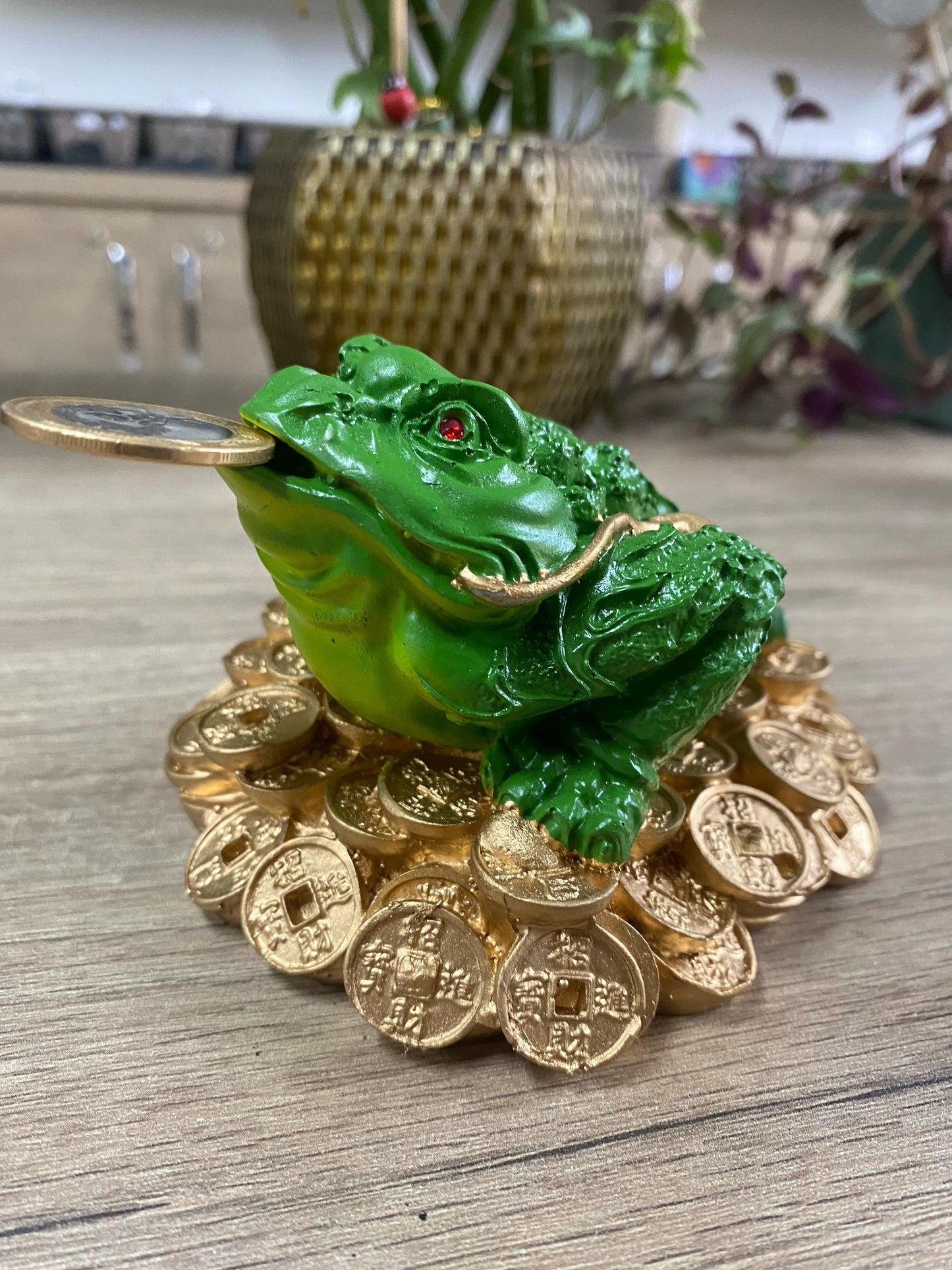 Sapo Kaeru da Prosperidade - G
