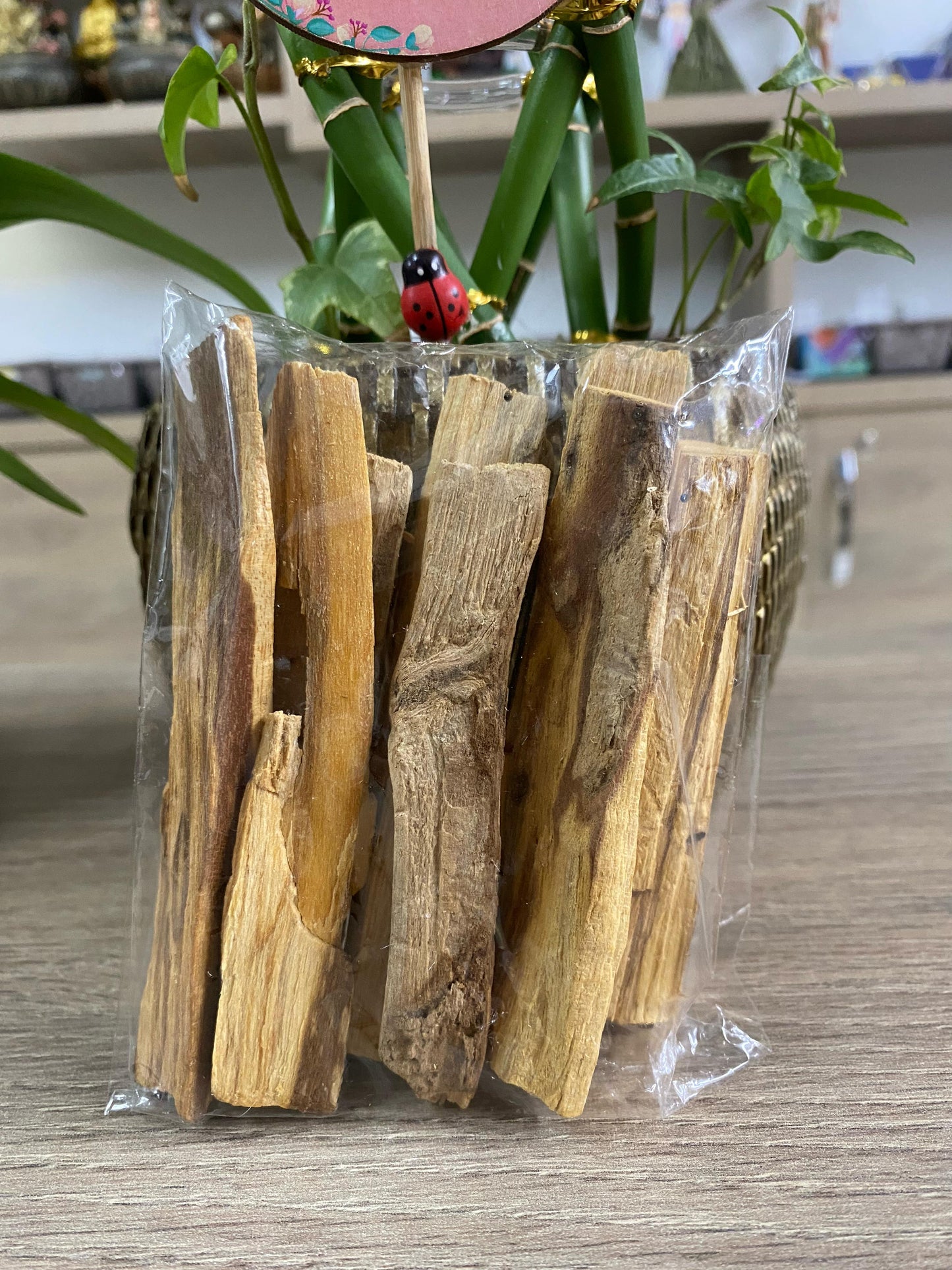 Palo Santo in Natura - 50 Gramas