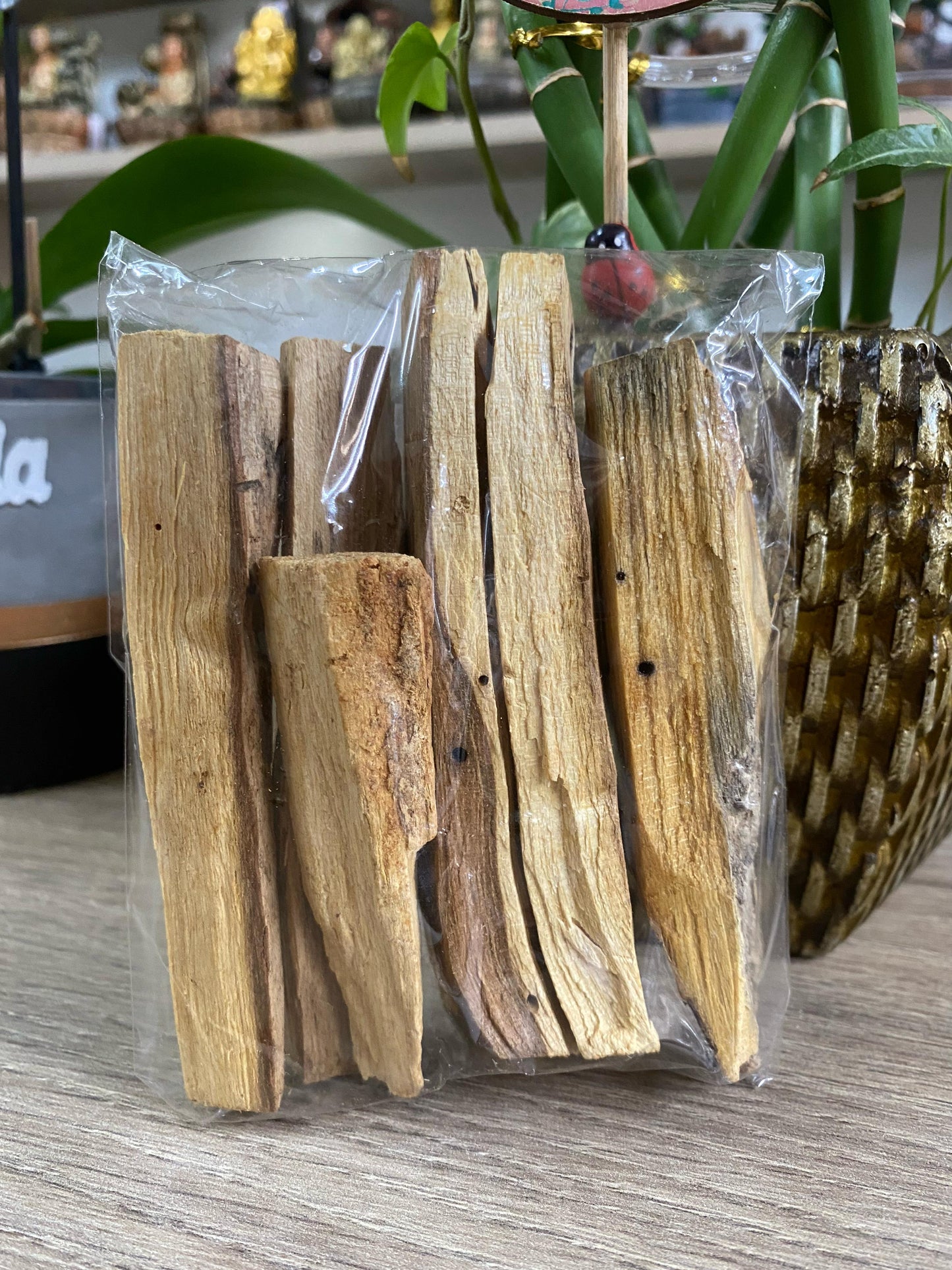 Palo Santo in Natura - 50 Gramas