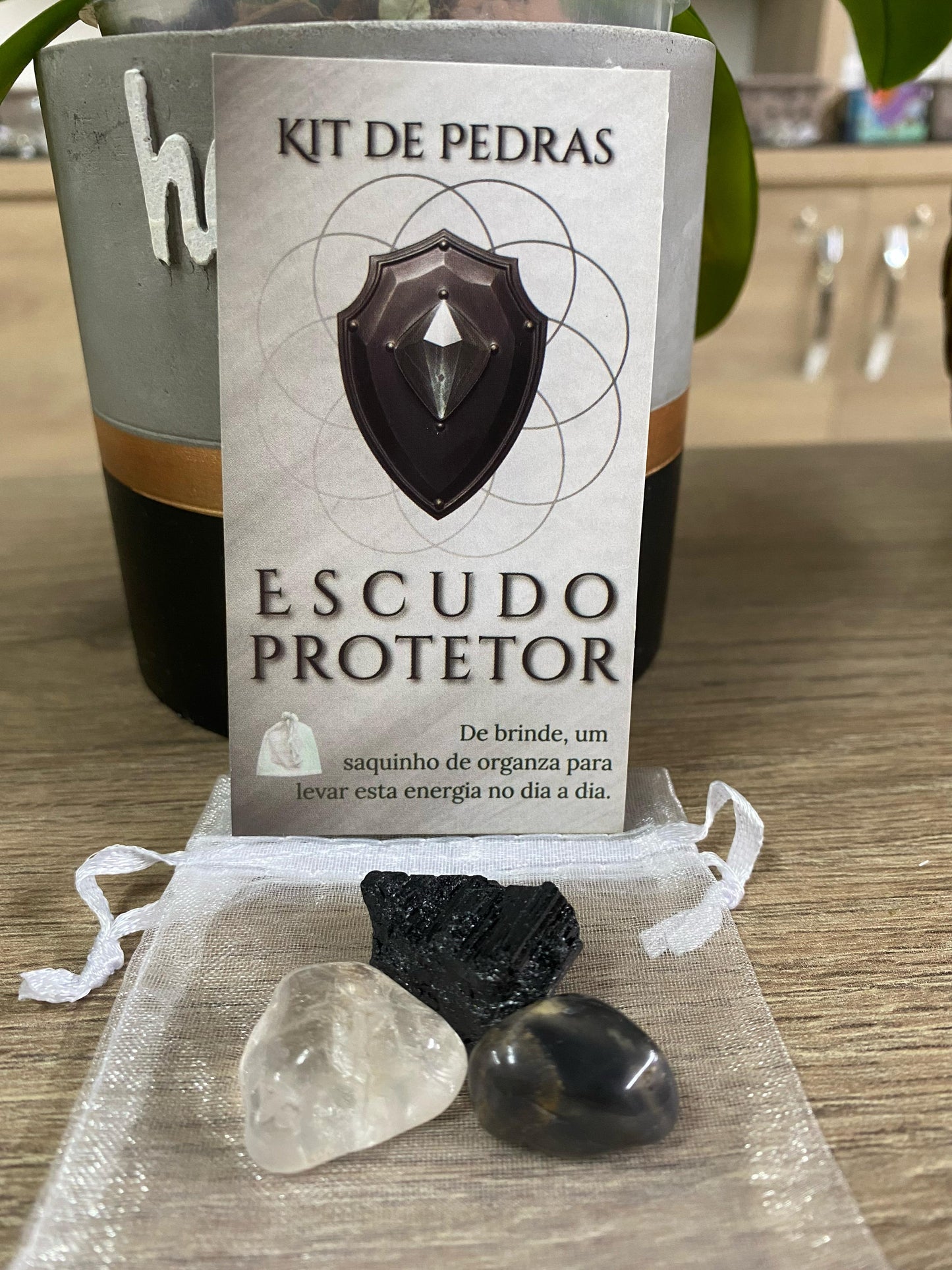 Kit Escudo Protetor