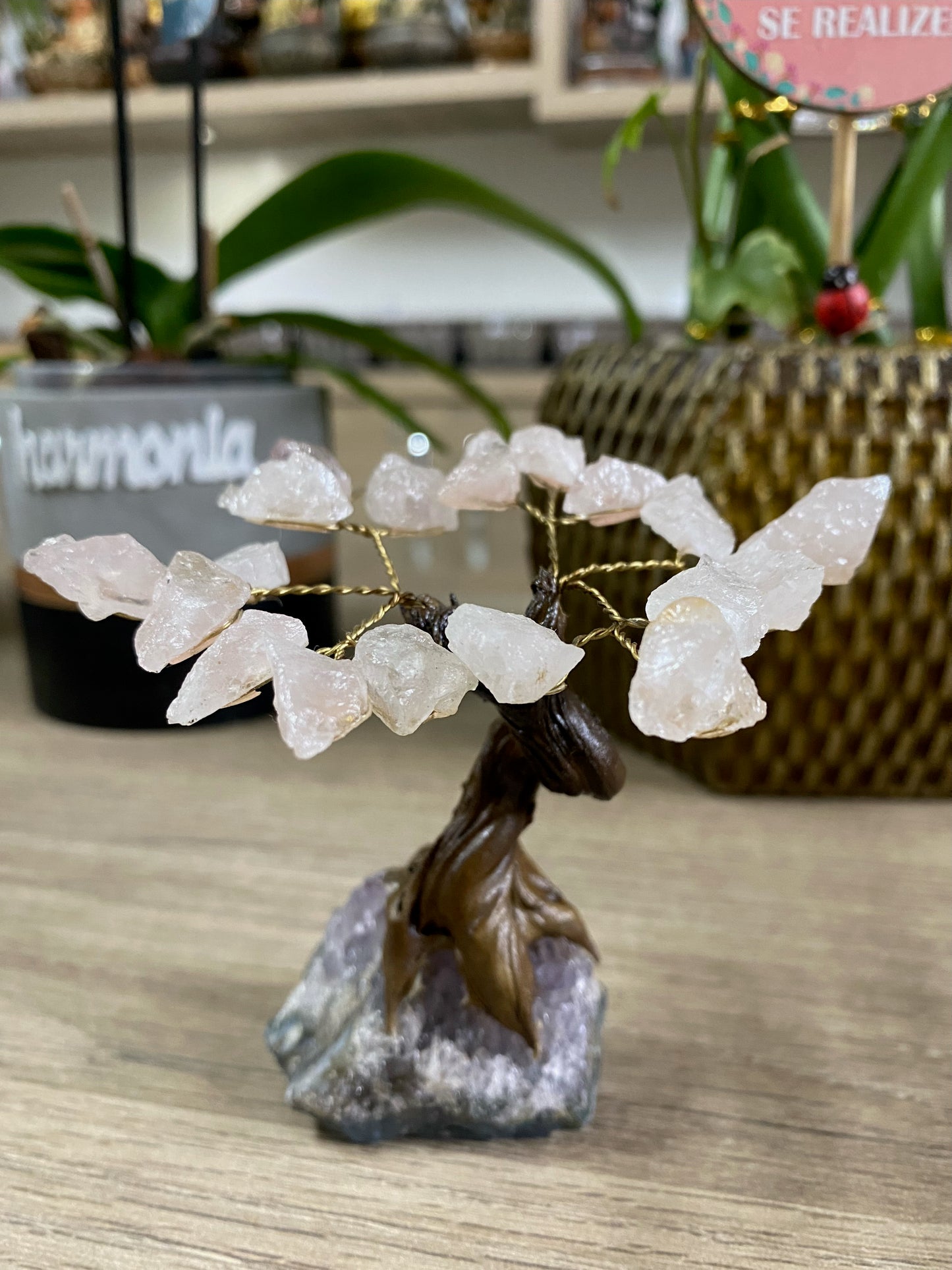 Árvore PP - Quartzo Rosa Rolada