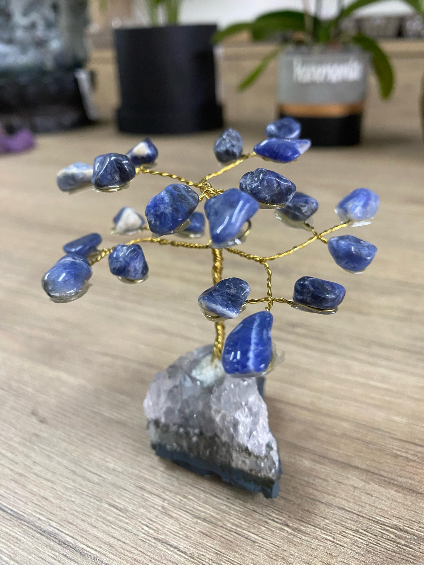 Árvore Mini - Sodalita