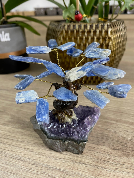 Árvore Pequena - Cianita Azul